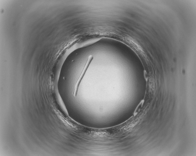 X0000087740401200705141230