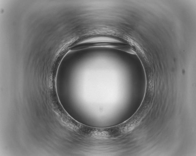 X0000087740403200705141230