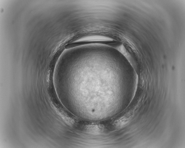 X0000087740404200705141230