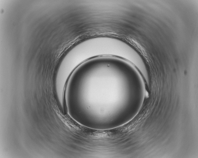 X0000087740405200705141230