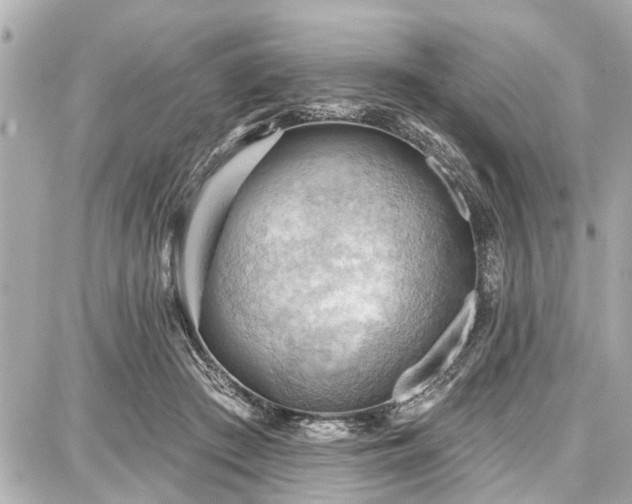 X0000087740409200705141230