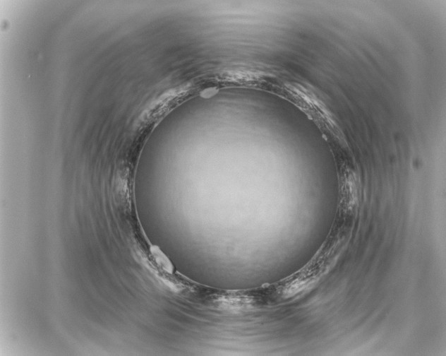 X0000087740415200705141230