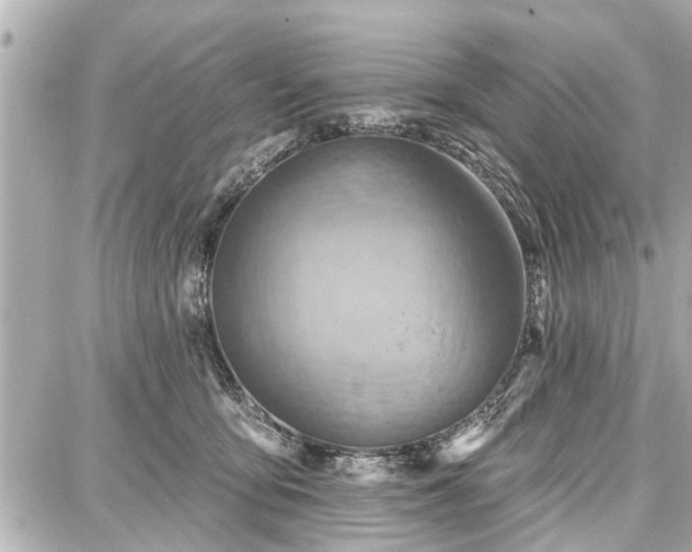 X0000087740419200705141230