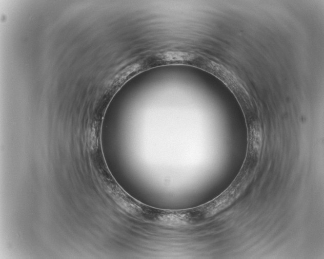 X0000087740422200705141230