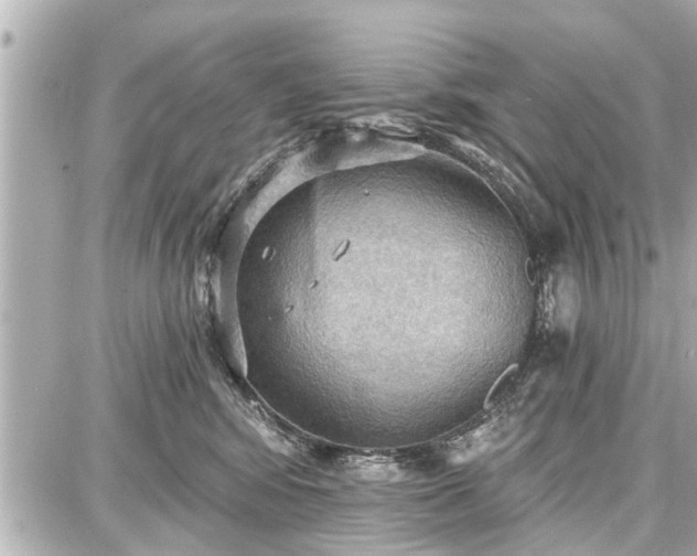 X0000087740424200705141230