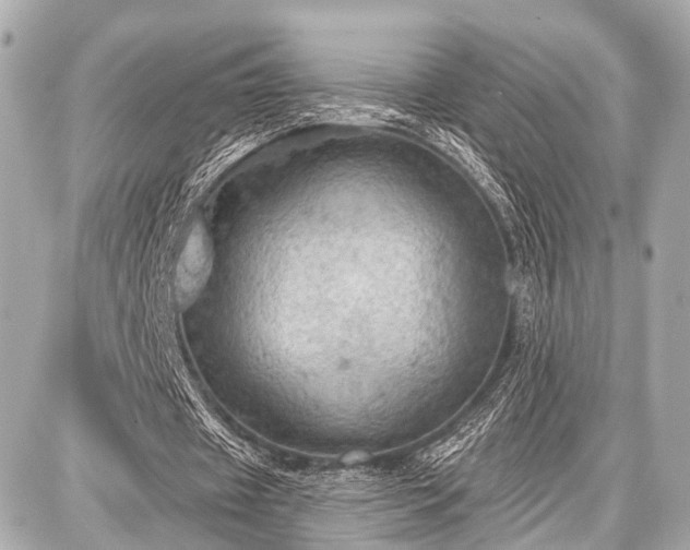 X0000087740433200705141229