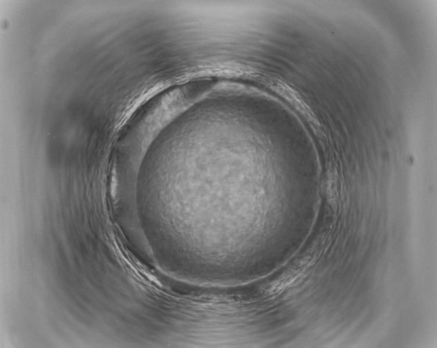 X0000087740434200705141229