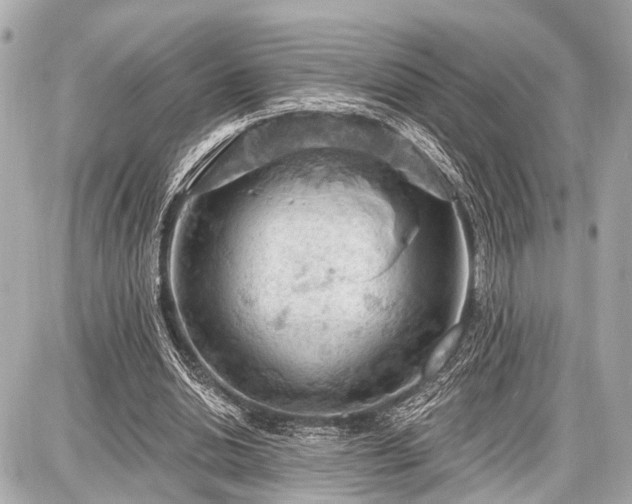 X0000087740438200705141229
