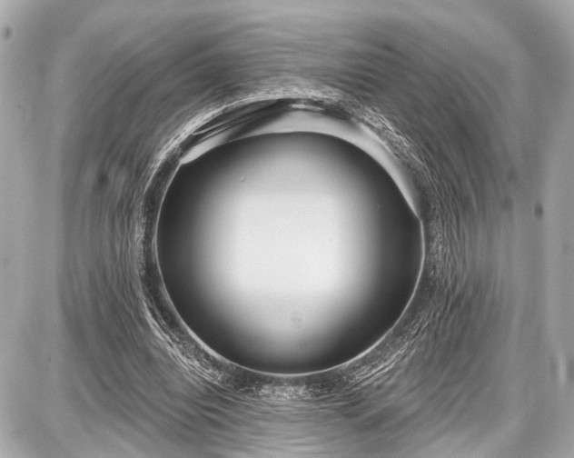 X0000087740440200705141229