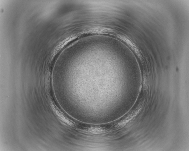 X0000087740445200705141229