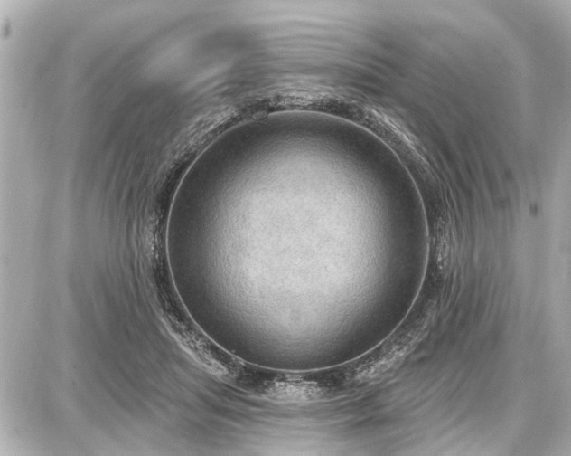 X0000087740455200705141229