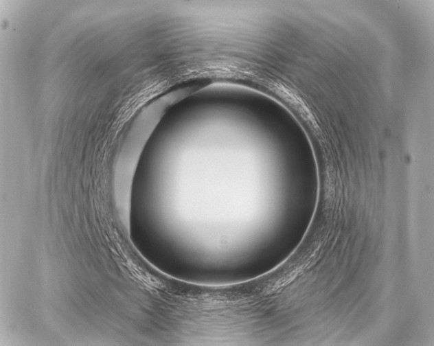 X0000087740481200705141229