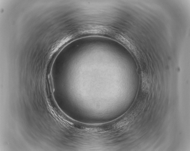 X0000087740482200705141229