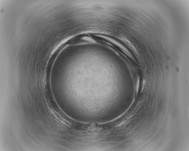 X0000087740484200705141229
