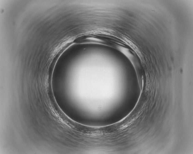 X0000087740485200705141229