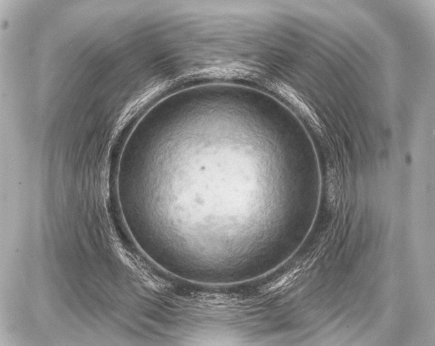 X0000087740486200705141229
