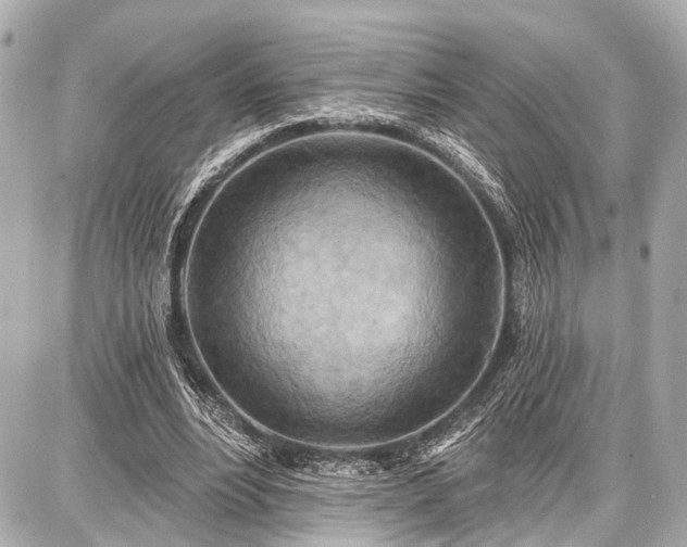 X0000087740488200705141229