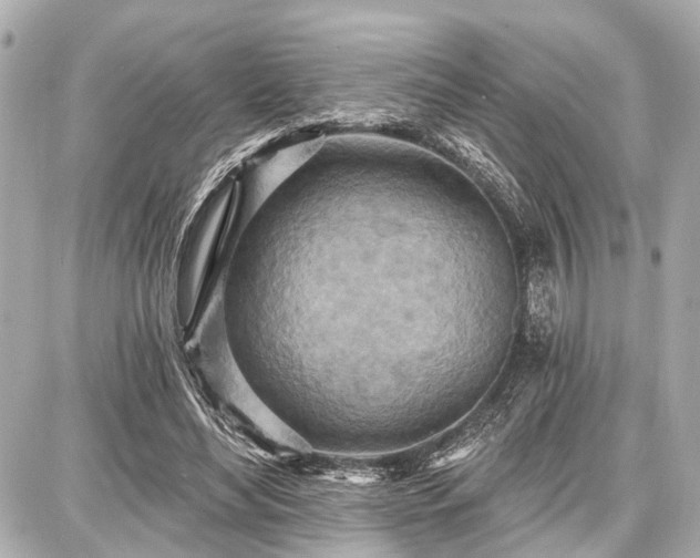 X0000087740492200705141228