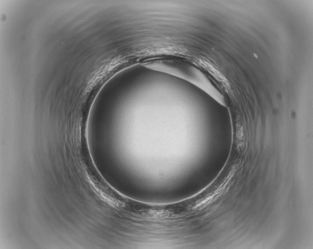 X0000087740493200705141228