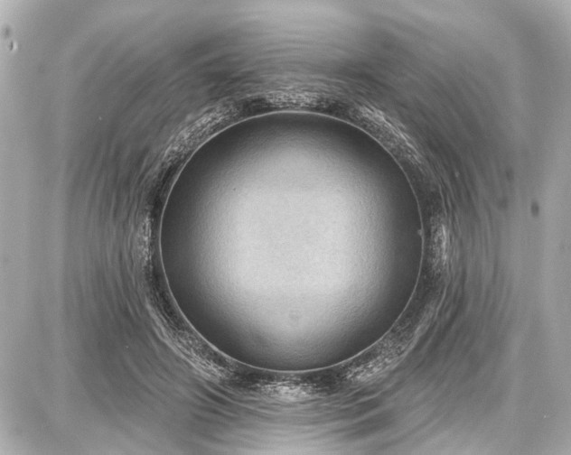 X0000087740498200705141228