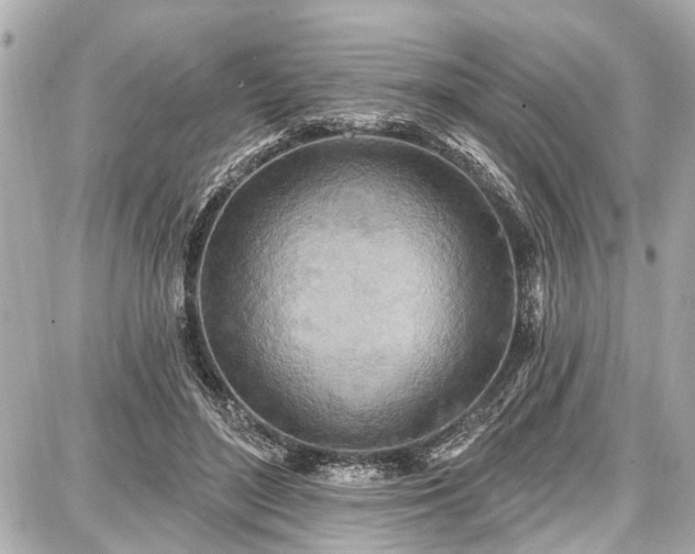 X0000087740500200705141228