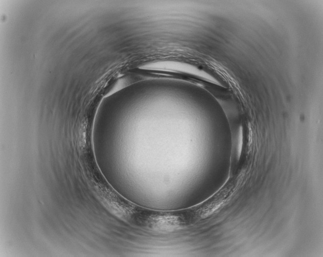 X0000087740501200705141228