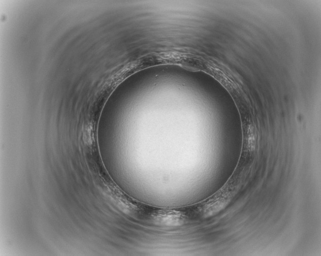 X0000087740514200705141228