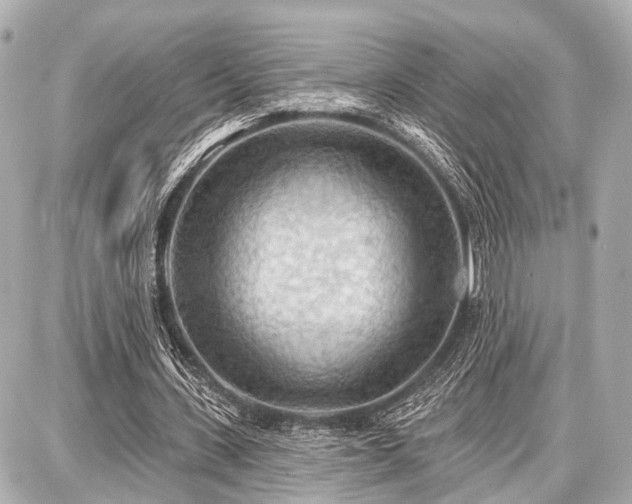 X0000087740531200705141227