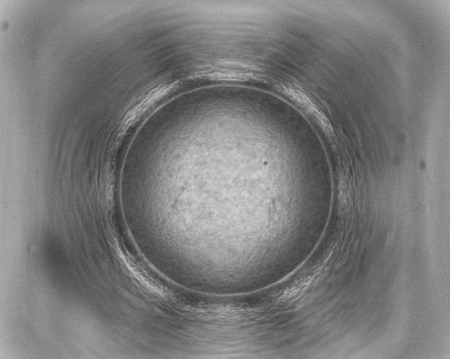 X0000087740533200705141227