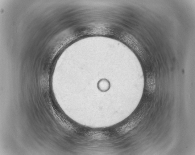 X0000087740534200705141227