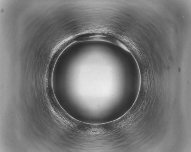 X0000087740536200705141227