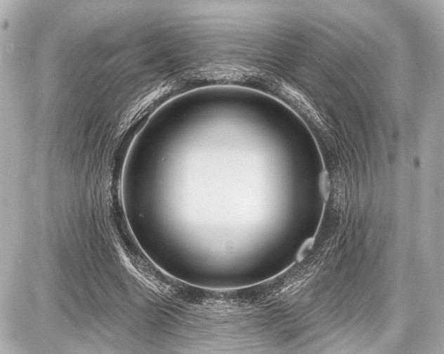 X0000087740538200705141227