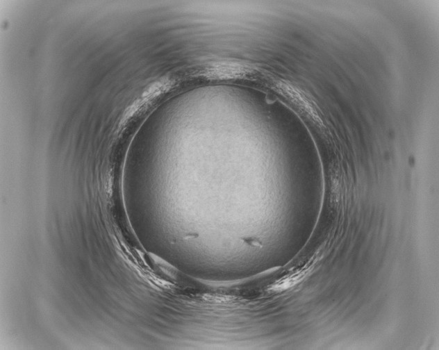 X0000087740539200705141227