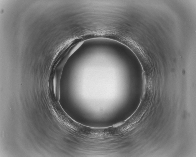 X0000087740540200705141227
