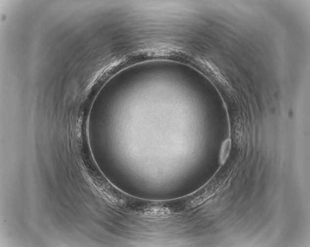 X0000087740543200705141227