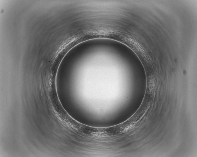 X0000087740544200705141227