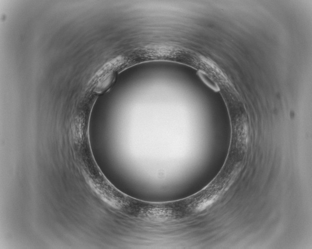 X0000087740546200705141227