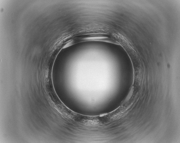 X0000087740548200705141227