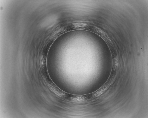 X0000087740567200705141228