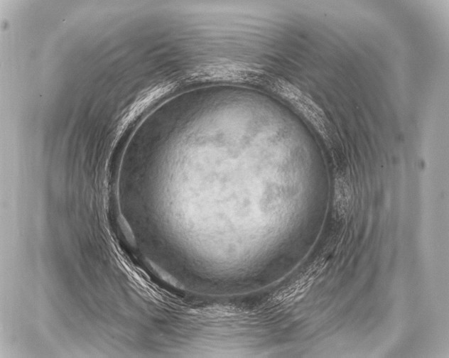X0000087740578200705141227