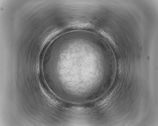 X0000087740582200705141227