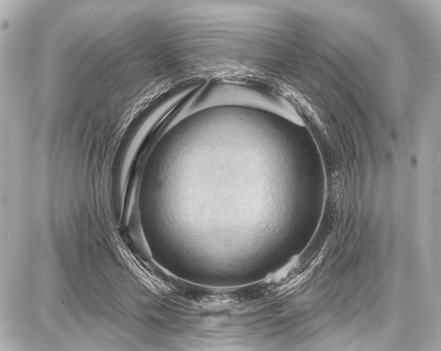 X0000087740589200705141227