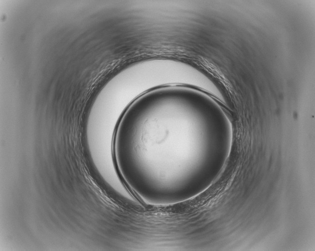 X0000087740593200705141227