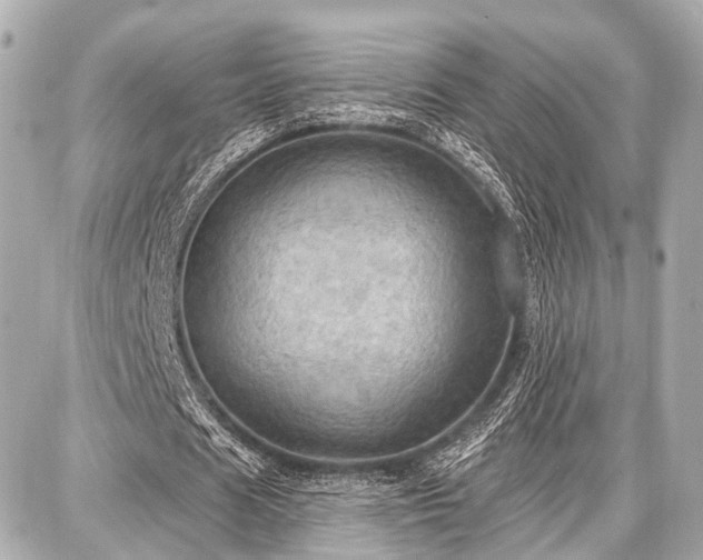 X0000087740625200705141226