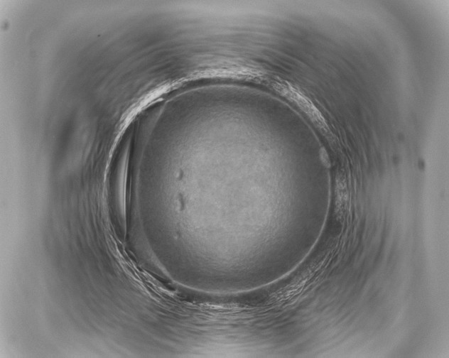 X0000087740628200705141226