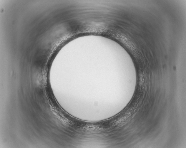 X0000087740632200705141226