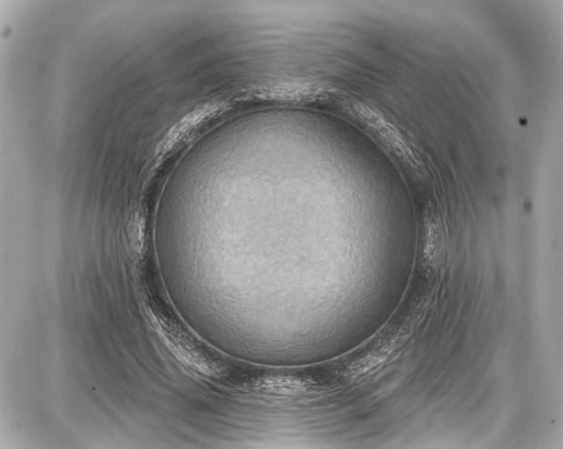 X0000087740636200705141226