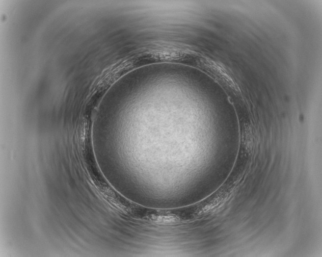 X0000087740645200705141226