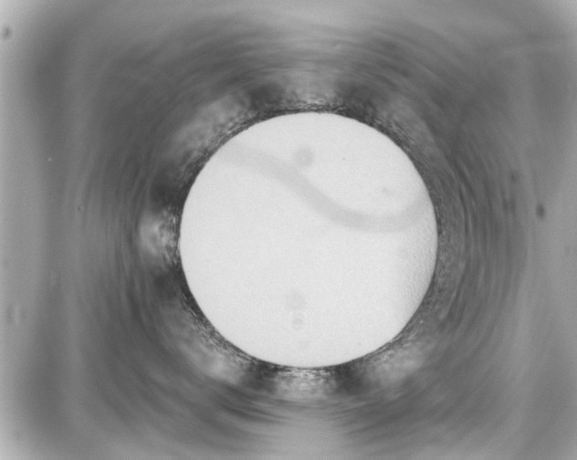 X0000087740672200705141226