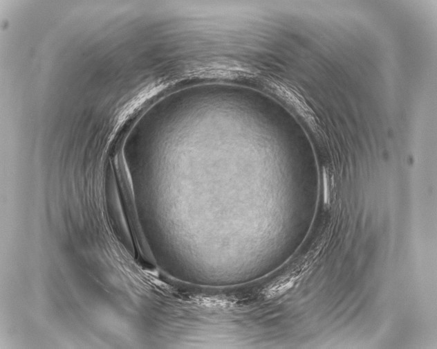 X0000087740675200705141225